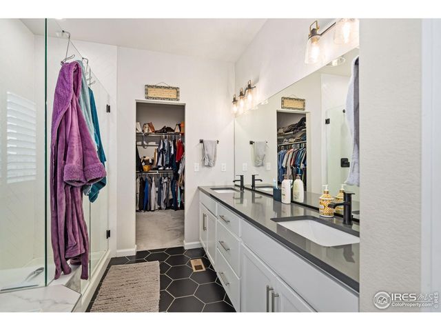 336 Bluestar Dr, Windsor, CO 80550