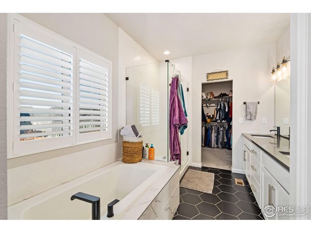 336 Bluestar Dr, Windsor, CO 80550