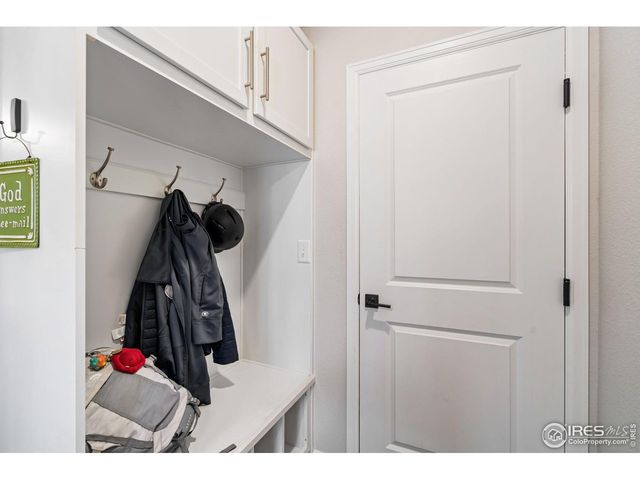 336 Bluestar Dr, Windsor, CO 80550