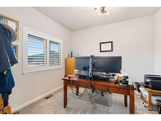 336 Bluestar Dr, Windsor, CO 80550