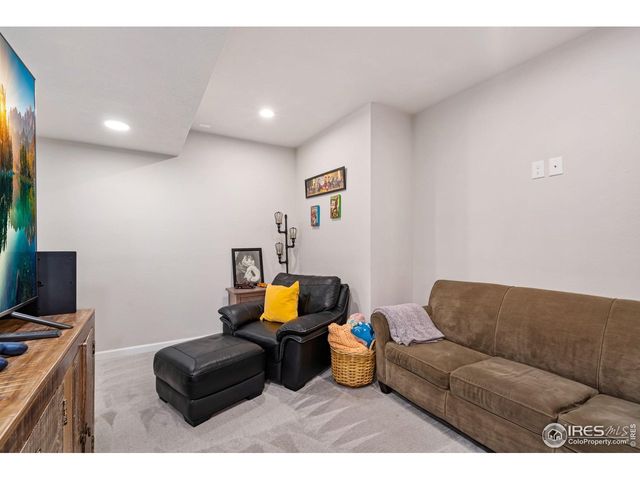 336 Bluestar Dr, Windsor, CO 80550