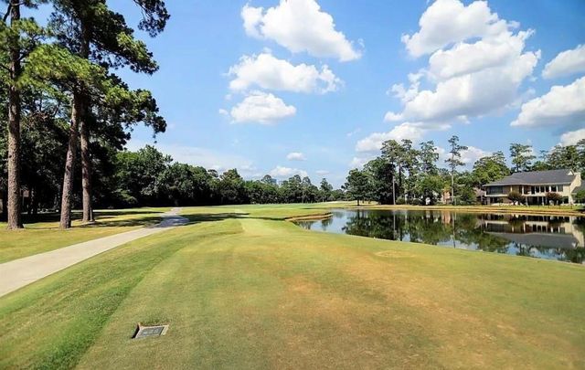 8 N Timber Top Drive, The Woodlands, TX 77380