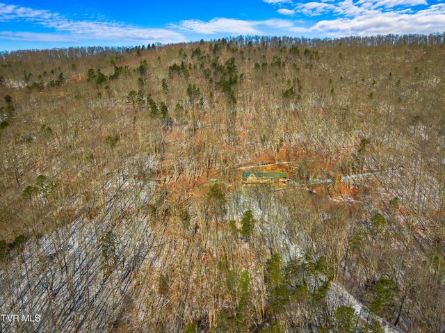 1231 Vardy Blackwater, Sneedville, TN 37869