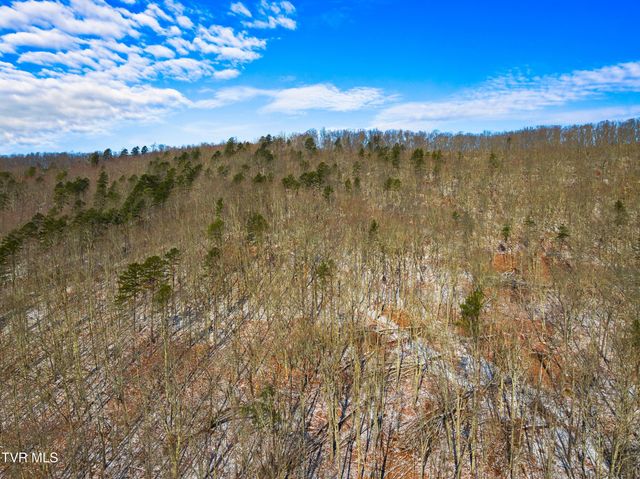 1231 Vardy Blackwater, Sneedville, TN 37869