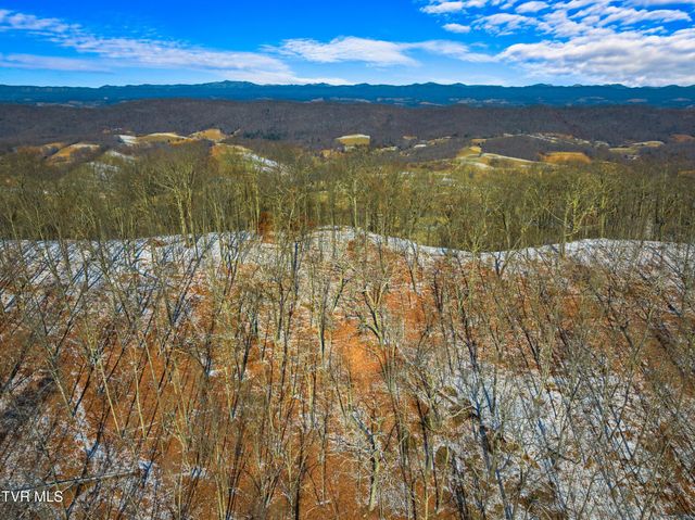 1231 Vardy Blackwater, Sneedville, TN 37869