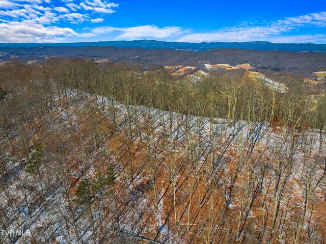 1231 Vardy Blackwater, Sneedville, TN 37869