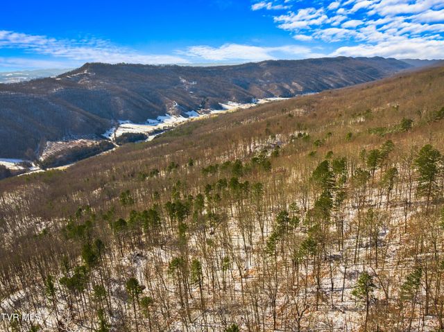 1231 Vardy Blackwater, Sneedville, TN 37869