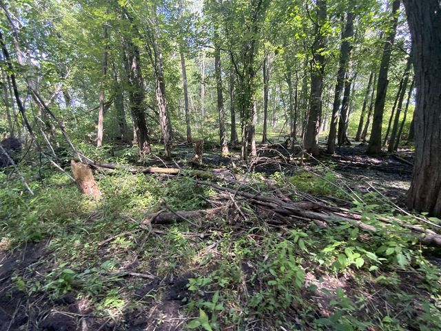 4350 Bailey Road, Jackson, MI 49201