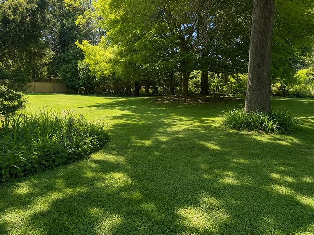 1165 Sassafras Lane, Niles City, MI 49120