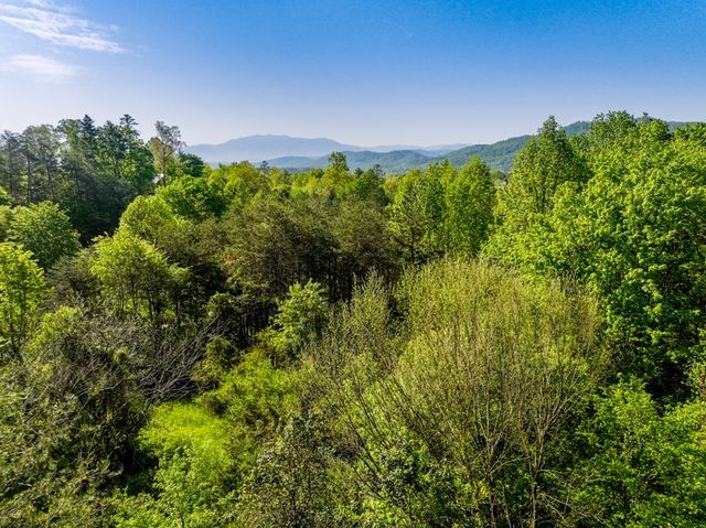 1140 Crestview Drive, Pigeon Forge, TN 37863