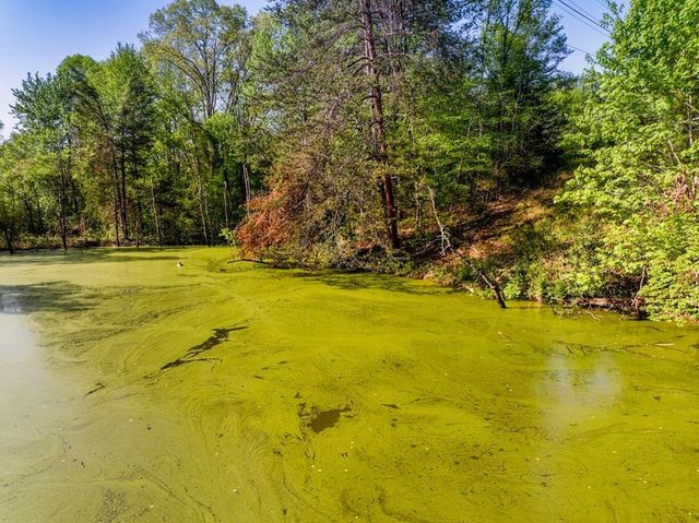 1140 Crestview Drive, Pigeon Forge, TN 37863