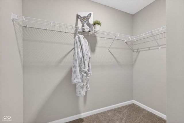 11904 Crossbill Court, Noblesville, IN 46060