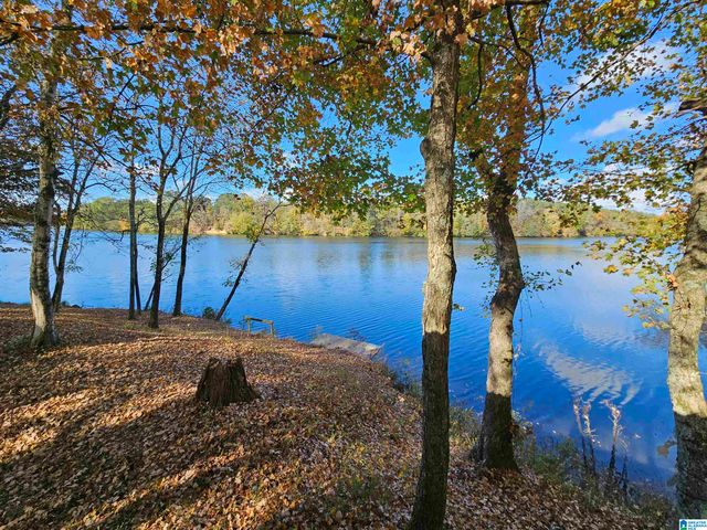 14536 PLANT ROAD, Alpine, AL 35014