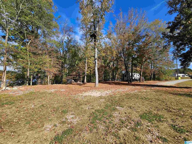 14536 PLANT ROAD, Alpine, AL 35014
