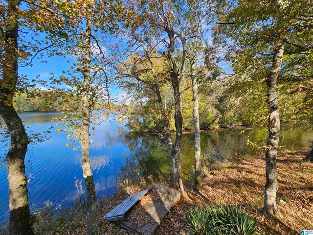 14536 PLANT ROAD, Alpine, AL 35014