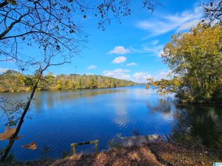 14536 PLANT ROAD, Alpine, AL 35014