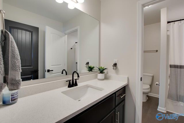 109 Wyatt Miles Lane, Toney, AL 35773