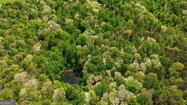 3617 Pea Ridge Road, Cornelia, GA 30531