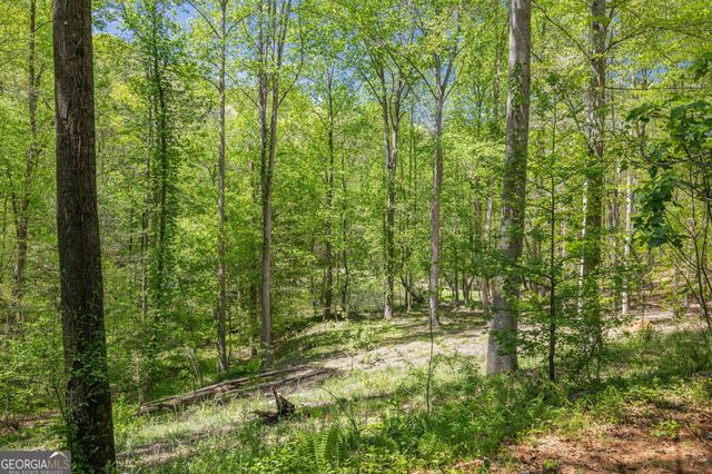 3617 Pea Ridge Road, Cornelia, GA 30531