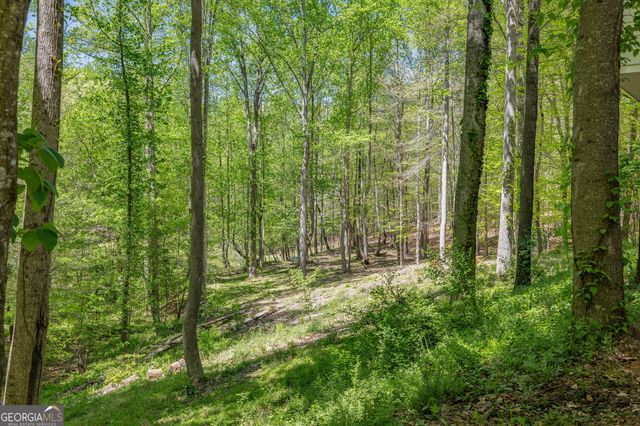 3617 Pea Ridge Road, Cornelia, GA 30531