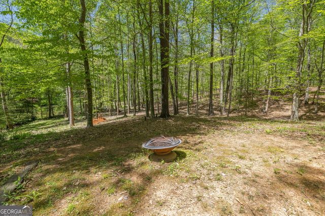 3617 Pea Ridge Road, Cornelia, GA 30531