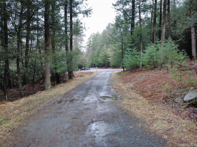 44 Lester Lane, Bethel, NY 12786