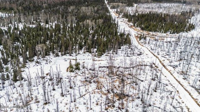 GOV S Leroy Davies Road, Talkeetna, AK 99676