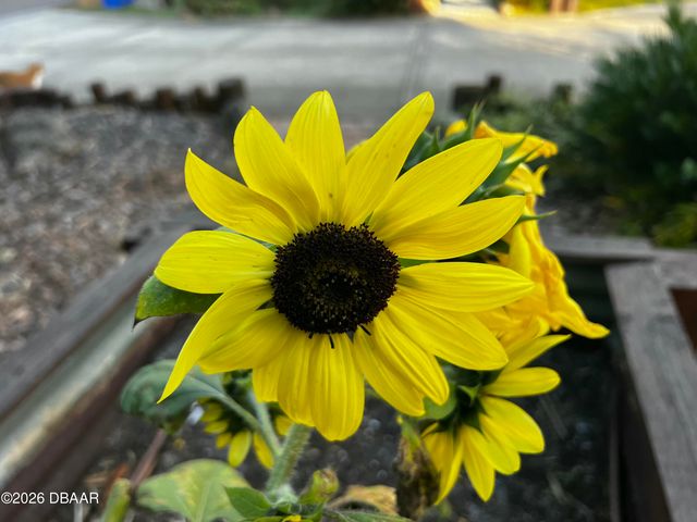 615 Art Center Avenue, New Smyrna Beach, FL 32168