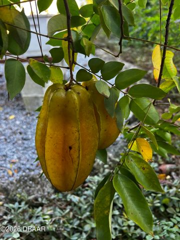 615 Art Center Avenue, New Smyrna Beach, FL 32168