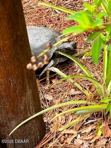 615 Art Center Avenue, New Smyrna Beach, FL 32168