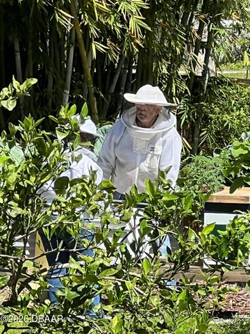 615 Art Center Avenue, New Smyrna Beach, FL 32168