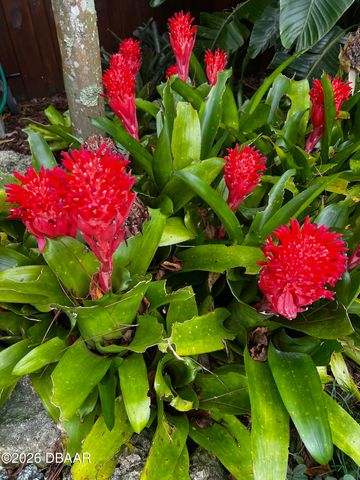 615 Art Center Avenue, New Smyrna Beach, FL 32168