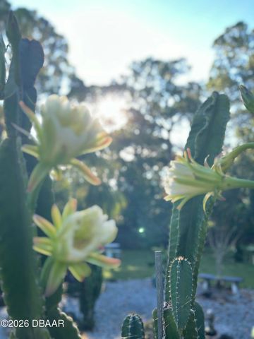 615 Art Center Avenue, New Smyrna Beach, FL 32168