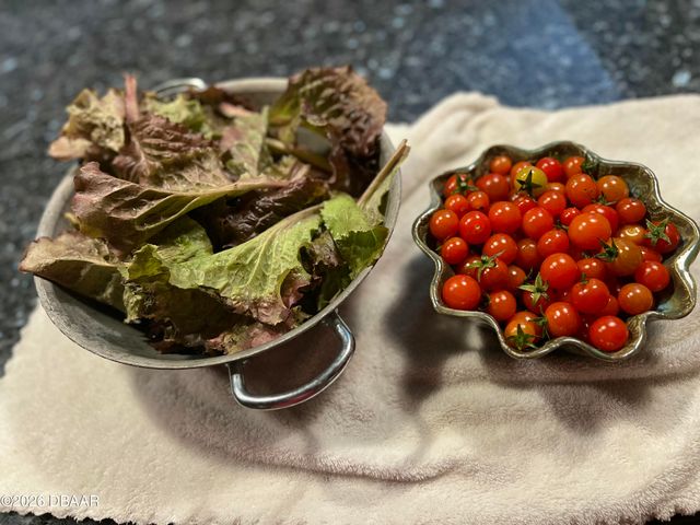 615 Art Center Avenue, New Smyrna Beach, FL 32168