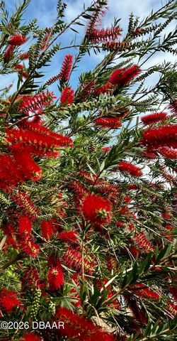 615 Art Center Avenue, New Smyrna Beach, FL 32168