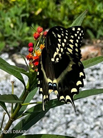 615 Art Center Avenue, New Smyrna Beach, FL 32168