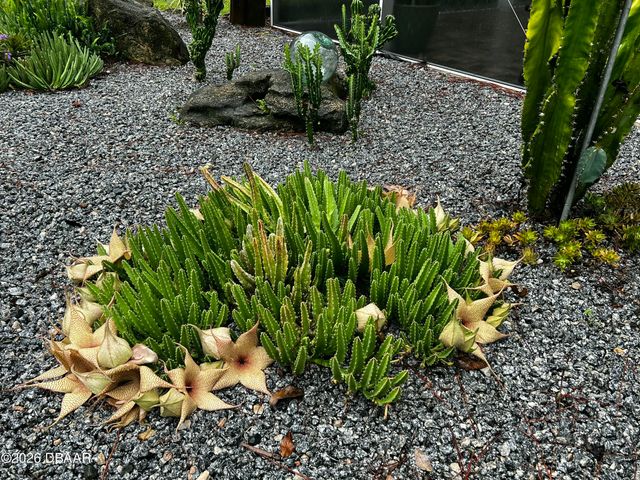 615 Art Center Avenue, New Smyrna Beach, FL 32168