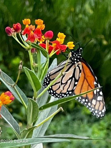 615 Art Center Avenue, New Smyrna Beach, FL 32168