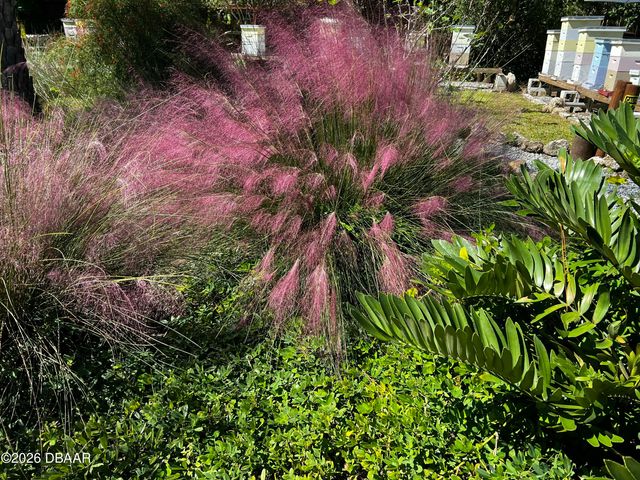 615 Art Center Avenue, New Smyrna Beach, FL 32168