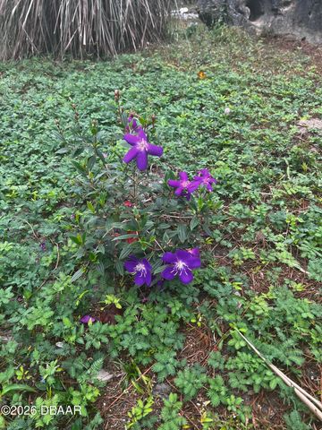 615 Art Center Avenue, New Smyrna Beach, FL 32168