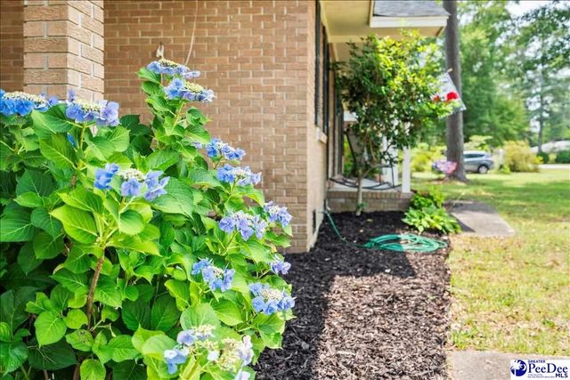 1600 Bellevue Drive, Florence, SC 29501