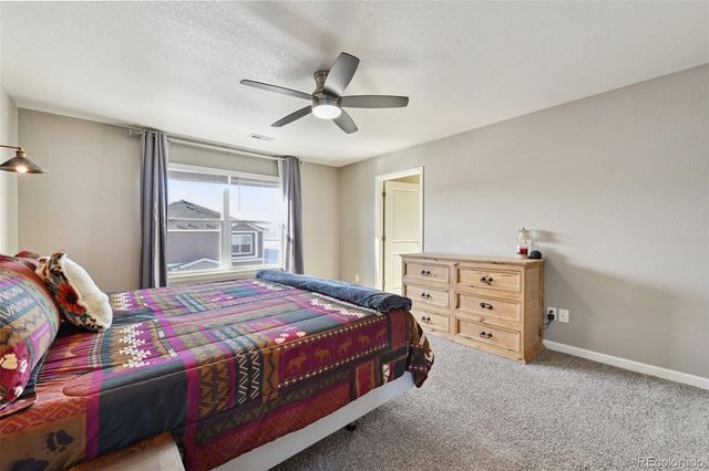 14101 Scarlet Sage Street, Parker, CO 80134