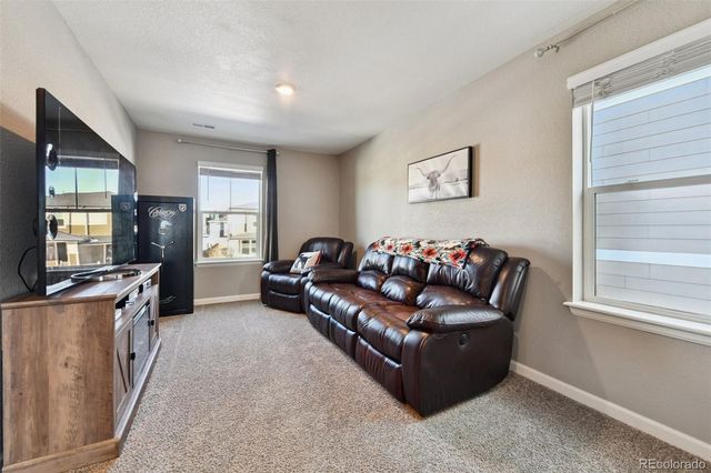 14101 Scarlet Sage Street, Parker, CO 80134