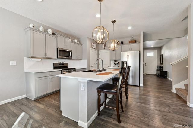 14101 Scarlet Sage Street, Parker, CO 80134