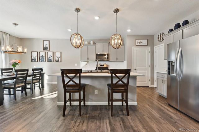 14101 Scarlet Sage Street, Parker, CO 80134