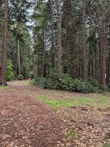 17943 Cruzon Grade Rd, Nevada City, CA 95959