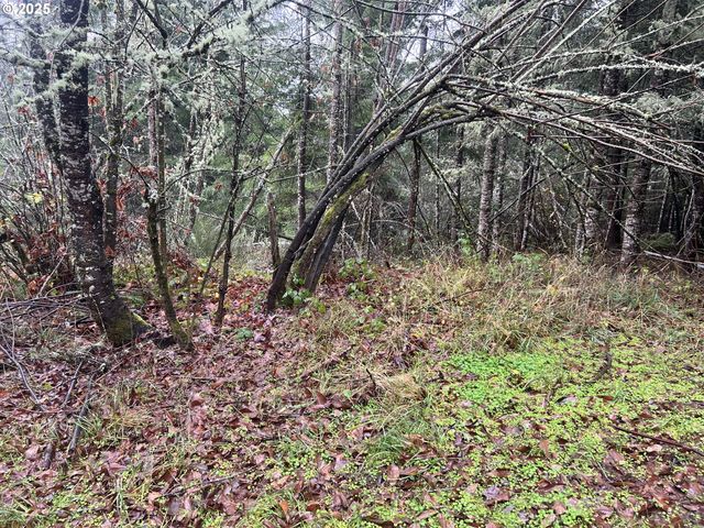 82964 HUNGRY HILL Rd, Creswell, OR 97426