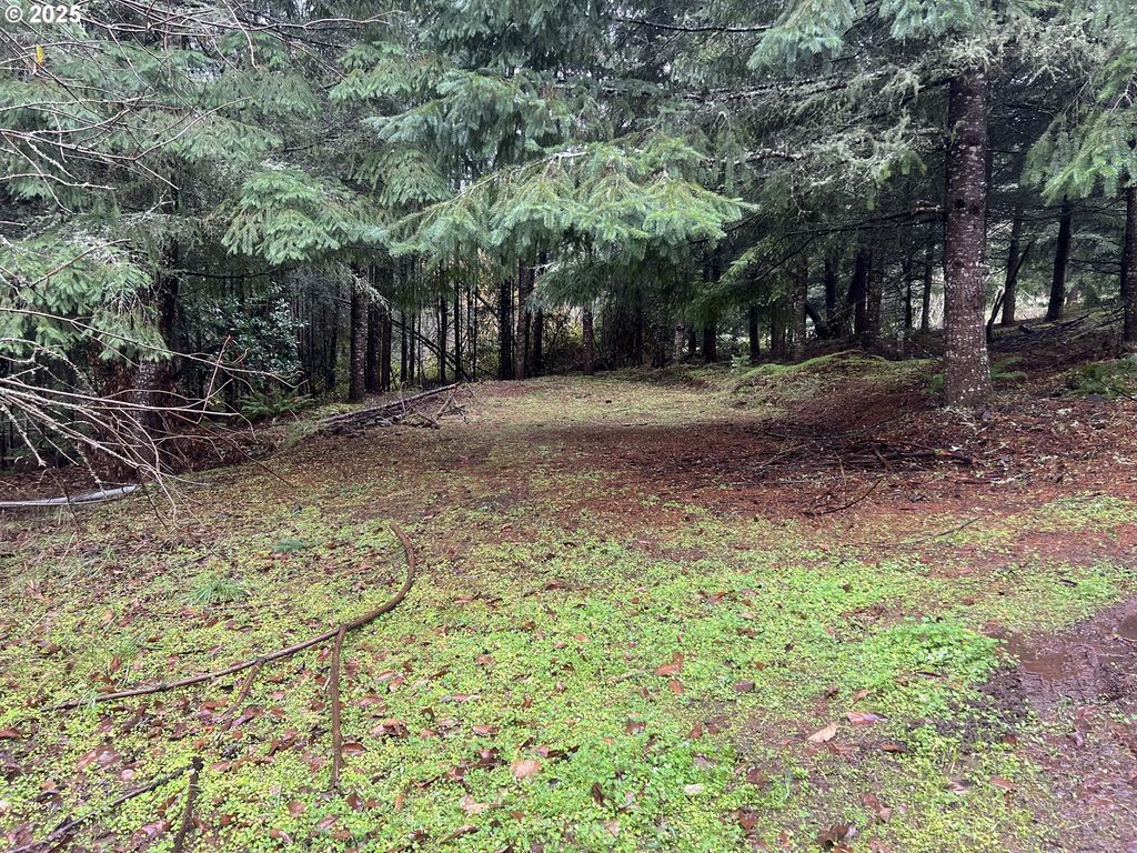 82964 HUNGRY HILL Rd, Creswell, OR 97426