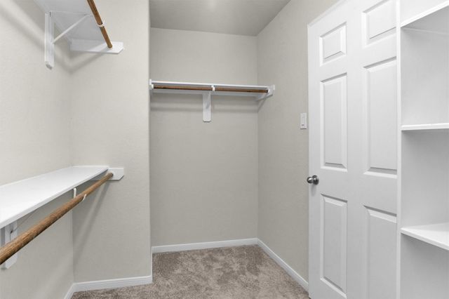 165 Camelot Place Court, Conroe, TX 77304
