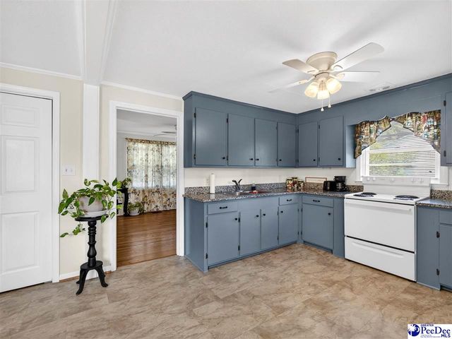 1033 E Carolina Ave, Hartsville, SC 29550